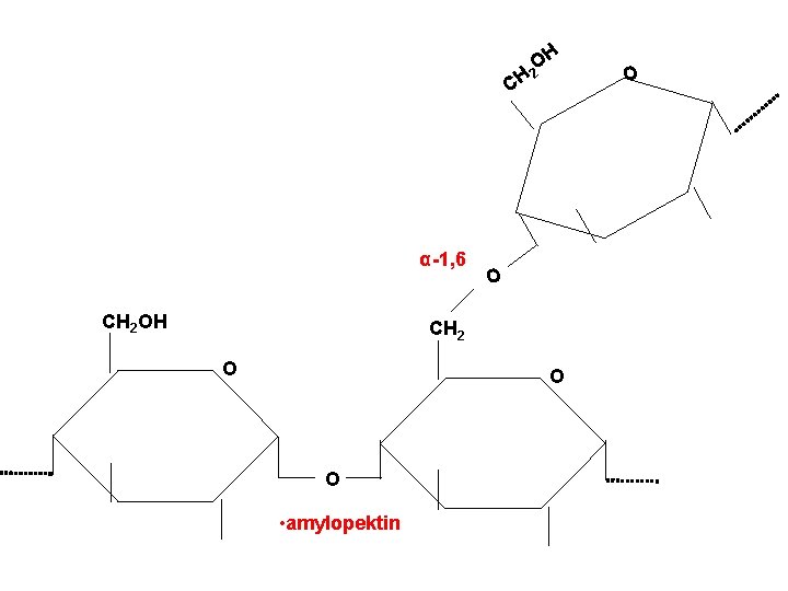 CH α-1, 6 CH 2 OH H O 2 O CH 2 O O