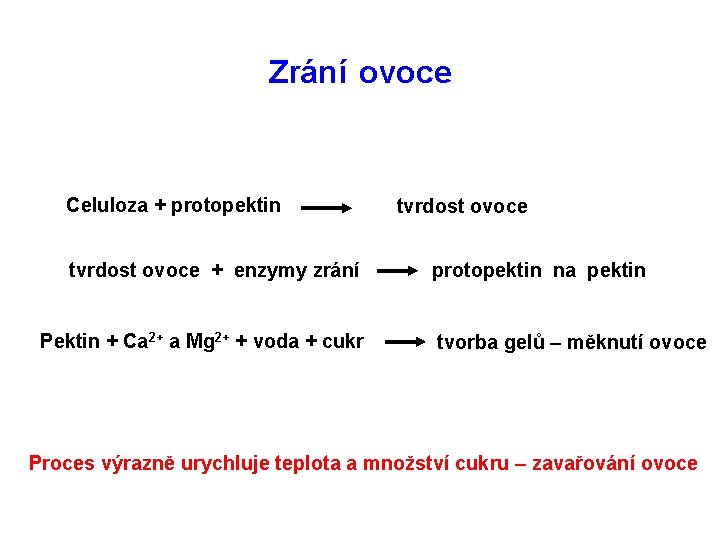 Zrání ovoce Celuloza + protopektin tvrdost ovoce + enzymy zrání Pektin + Ca 2+