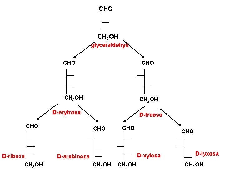 CHO CH 2 OH glyceraldehyd CHO CH 2 OH D-erytrosa CHO D-riboza CH 2 CHO CH 2 OH glyceraldehyd CHO CH 2 OH D-erytrosa CHO D-riboza CH 2