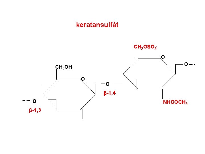 keratansulfát CH 2 OSO 3 O O CH 2 OH O O β-1, 4