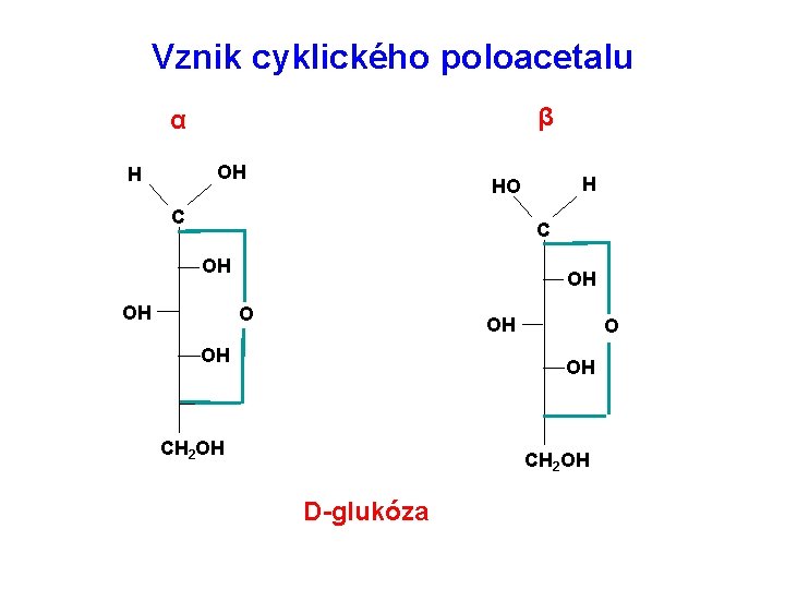 Vznik cyklického poloacetalu β α OH H H HO C C OH OH OH