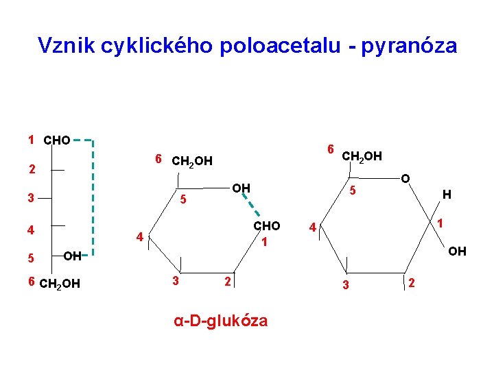 Vznik cyklického poloacetalu - pyranóza 1 CHO 6 CH 2 OH 2 3 OH Vznik cyklického poloacetalu - pyranóza 1 CHO 6 CH 2 OH 2 3 OH