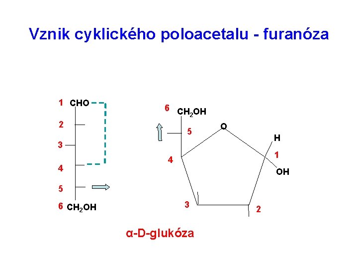 Vznik cyklického poloacetalu - furanóza 1 CHO 6 CH OH 2 2 5 O