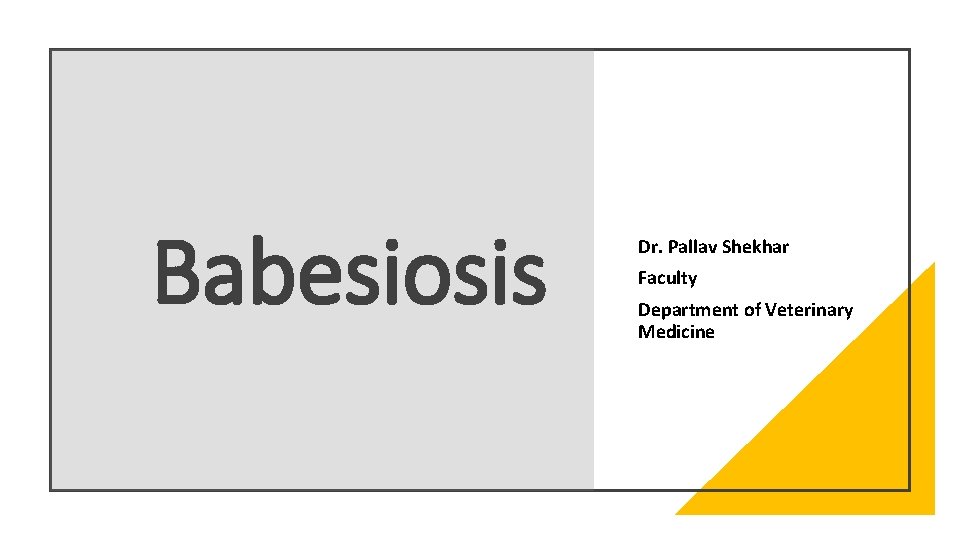 Babesiosis Dr. Pallav Shekhar Faculty Department of Veterinary Medicine 