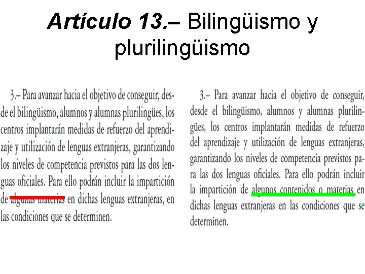 Artículo 13. – Bilingüismo y plurilingüismo 