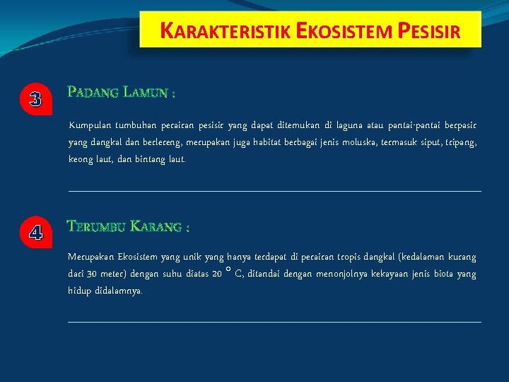 KARAKTERISTIK EKOSISTEM PESISIR 3 PADANG LAMUN : Kumpulan tumbuhan perairan pesisir yang dapat ditemukan