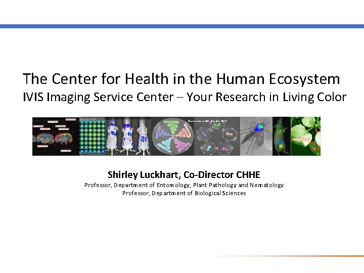 The Center for Health in the Human Ecosystem IVIS Imaging Service Center – Your The Center for Health in the Human Ecosystem IVIS Imaging Service Center – Your