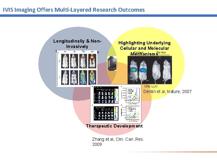 IVIS Imaging Offers Multi-Layered Research Outcomes Longitudinally & Non. Invasively Visualizing Disease Highlighting Underlying IVIS Imaging Offers Multi-Layered Research Outcomes Longitudinally & Non. Invasively Visualizing Disease Highlighting Underlying