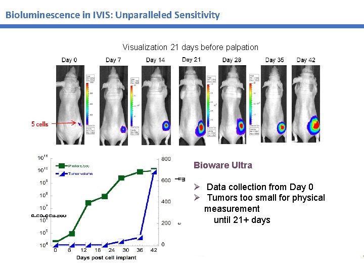 Bioluminescence in IVIS: Unparalleled Sensitivity Visualization 21 days before palpation Bioware Ultra Ø Data Bioluminescence in IVIS: Unparalleled Sensitivity Visualization 21 days before palpation Bioware Ultra Ø Data