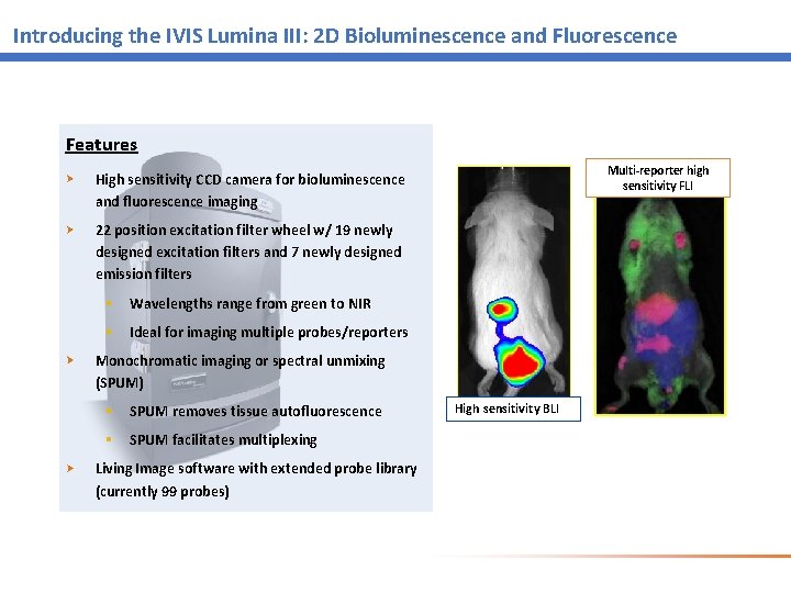 Introducing the IVIS Lumina III: 2 D Bioluminescence and Fluorescence Features Multi-reporter high sensitivity Introducing the IVIS Lumina III: 2 D Bioluminescence and Fluorescence Features Multi-reporter high sensitivity