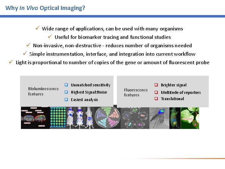 Why In Vivo Optical Imaging? ü Wide range of applications, can be used with Why In Vivo Optical Imaging? ü Wide range of applications, can be used with