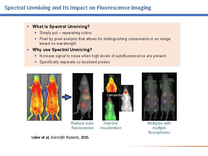Spectral Unmixing and Its Impact on Fluorescence Imaging § What is Spectral Unmixing? § Spectral Unmixing and Its Impact on Fluorescence Imaging § What is Spectral Unmixing? §