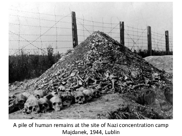 A pile of human remains at the site of Nazi concentration camp Majdanek, 1944,