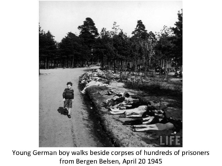 Young German boy walks beside corpses of hundreds of prisoners from Bergen Belsen, April