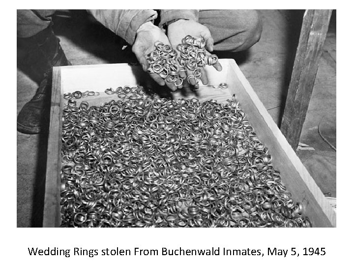 Wedding Rings stolen From Buchenwald Inmates, May 5, 1945 