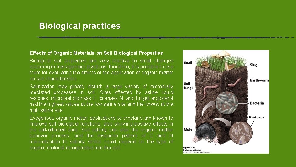Biological practices Effects of Organic Materials on Soil Biological Properties Biological soil properties are Biological practices Effects of Organic Materials on Soil Biological Properties Biological soil properties are