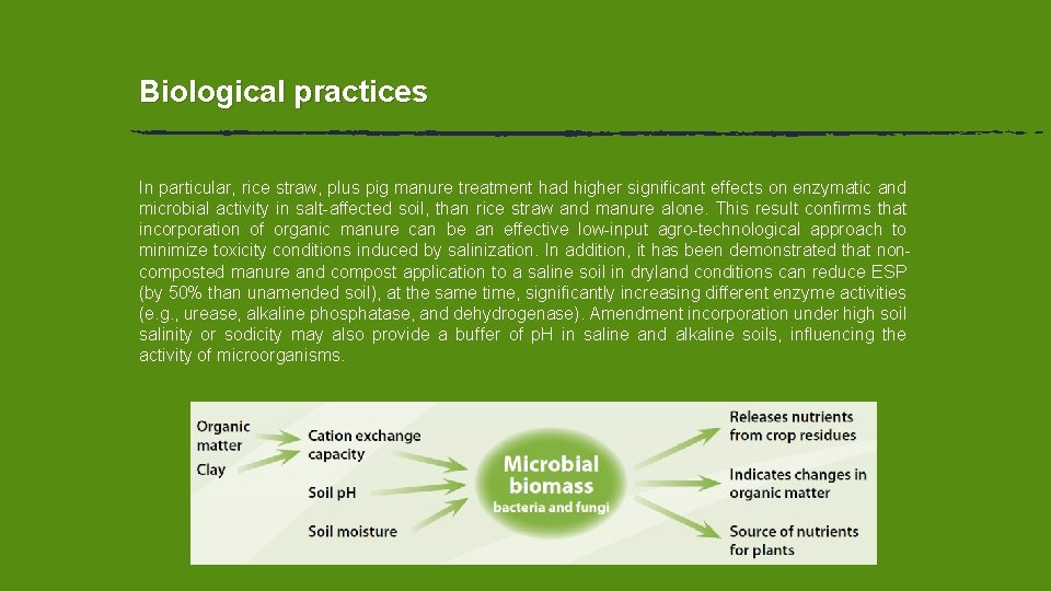 Biological practices In particular, rice straw, plus pig manure treatment had higher significant effects Biological practices In particular, rice straw, plus pig manure treatment had higher significant effects