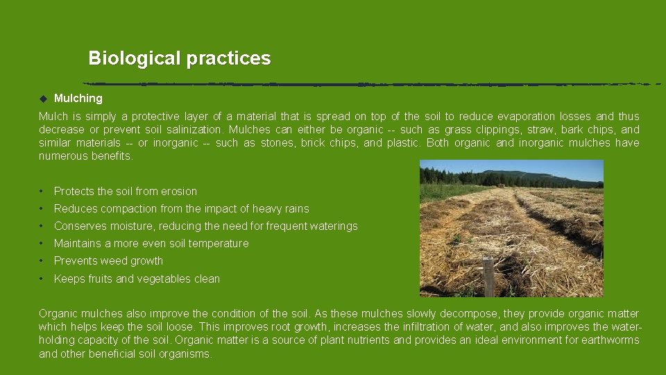 Biological practices u Mulching Mulch is simply a protective layer of a material that Biological practices u Mulching Mulch is simply a protective layer of a material that