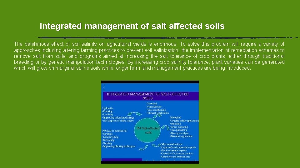 Integrated management of salt affected soils The deleterious effect of soil salinity on agricultural Integrated management of salt affected soils The deleterious effect of soil salinity on agricultural