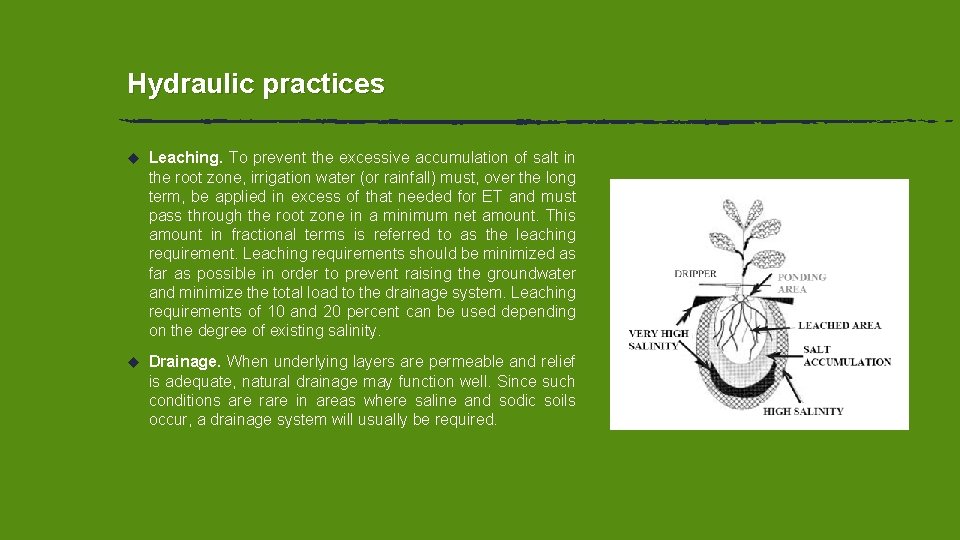 Hydraulic practices u Leaching. To prevent the excessive accumulation of salt in the root Hydraulic practices u Leaching. To prevent the excessive accumulation of salt in the root