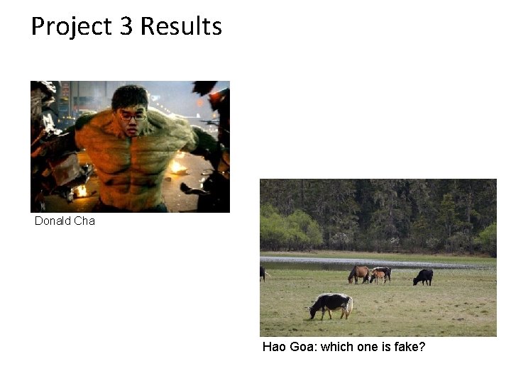 Project 3 Results Donald Cha Hao Goa: which one is fake? 