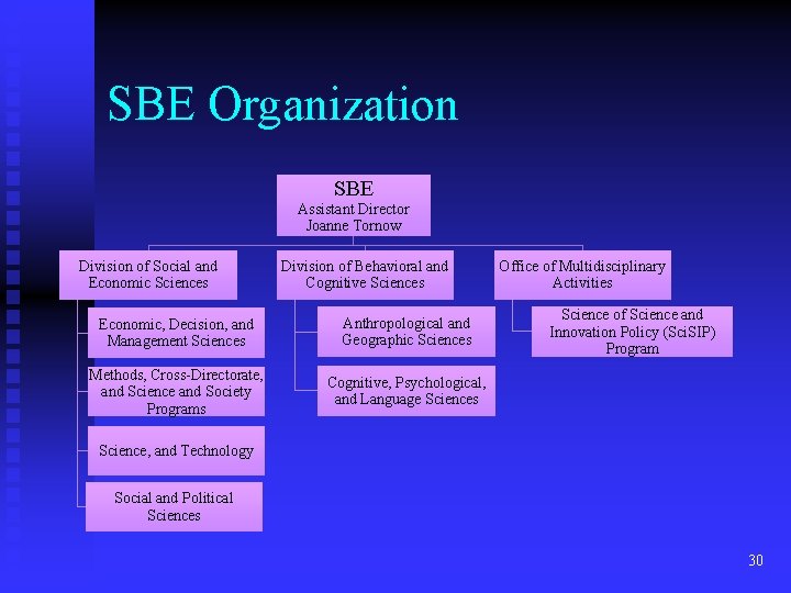 SBE Organization SBE Assistant Director Joanne Tornow Division of Social and Economic Sciences Division