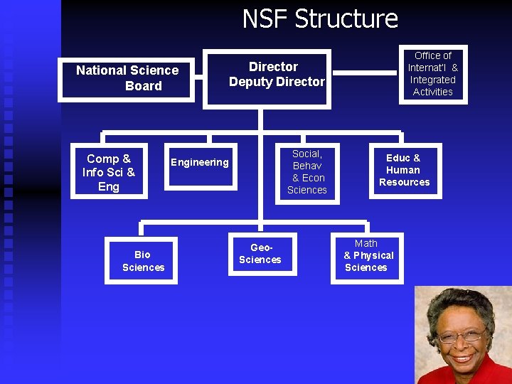 NSF Structure National Science Board Comp & Info Sci & Eng Bio Sciences Office