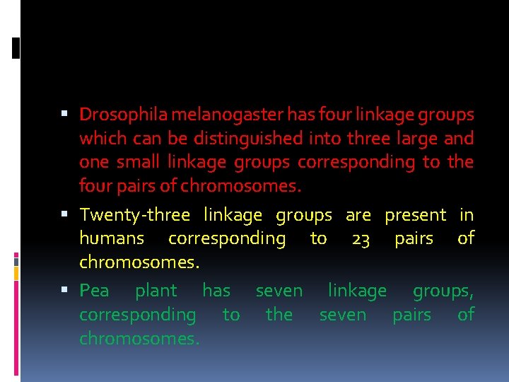  Drosophila melanogaster has four linkage groups which can be distinguished into three large