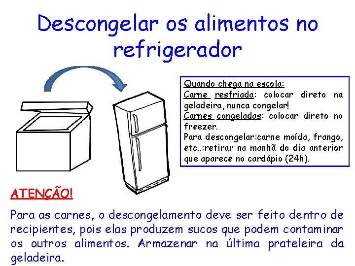 Alimentos armazenados na geladeira e freezer devem ser