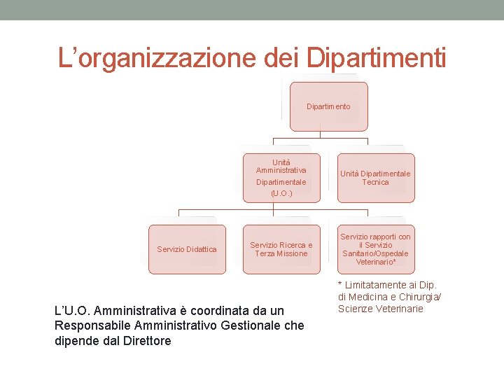 L’organizzazione dei Dipartimento Servizio Didattica Unità Amministrativa Dipartimentale (U. O. ) Unità Dipartimentale Tecnica