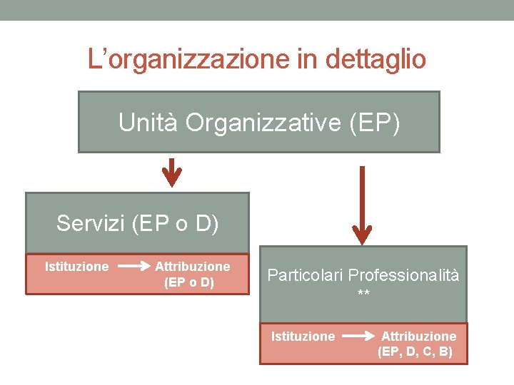 L’organizzazione in dettaglio Unità Organizzative (EP) Servizi (EP o D) Istituzione Attribuzione (EP o