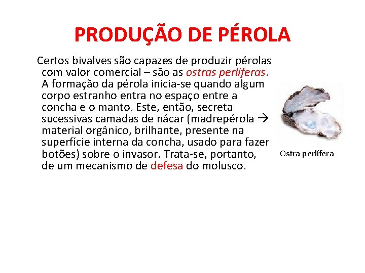 PRODUÇÃO DE PÉROLA Certos bivalves são capazes de produzir pérolas com valor comercial –