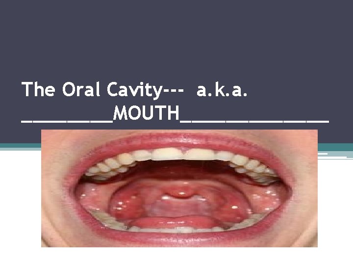 The Oral Cavity--- a. k. a. ____MOUTH_______ 