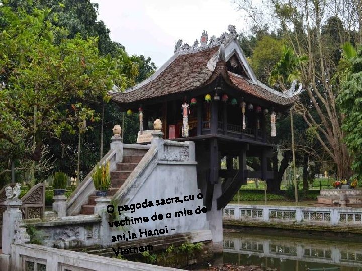 o u c , a r c a sa d o g a o u c , a r c a sa d o g a