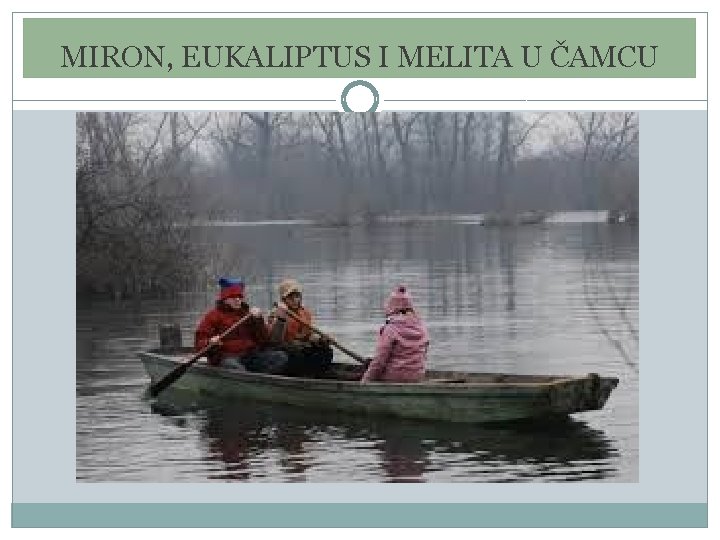 MIRON, EUKALIPTUS I MELITA U ČAMCU MIRON, EUKALIPTUS I MELITA U ČAMCU