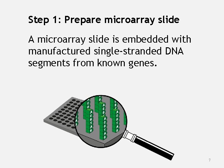 Step 1: Prepare microarray slide A microarray slide is embedded with manufactured single-stranded DNA