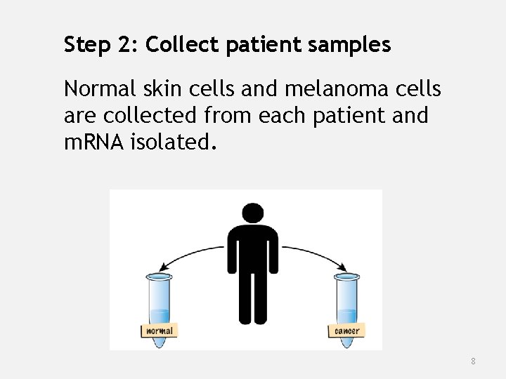 Step 2: Collect patient samples Normal skin cells and melanoma cells are collected from