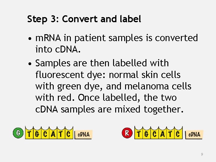 Step 3: Convert and label • m. RNA in patient samples is converted into