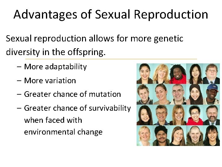 Advantages of Sexual Reproduction Sexual reproduction allows for more genetic diversity in the offspring.
