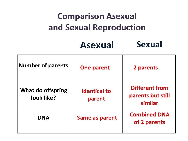 Comparison Asexual and Sexual Reproduction Asexual Sexual Number of parents One parent What do