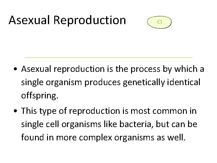 Asexual Reproduction • Asexual reproduction is the process by which a single organism produces