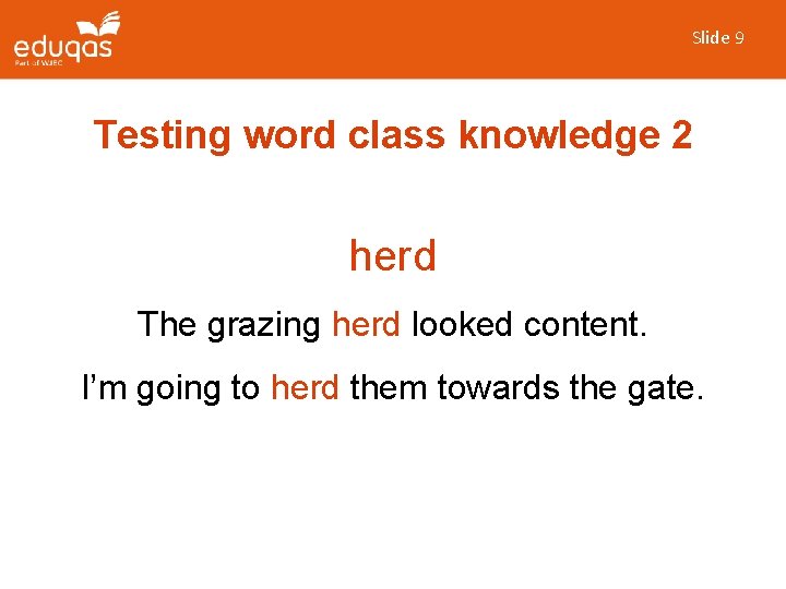 Slide 9 Testing word class knowledge 2 herd The grazing herd looked content. I’m