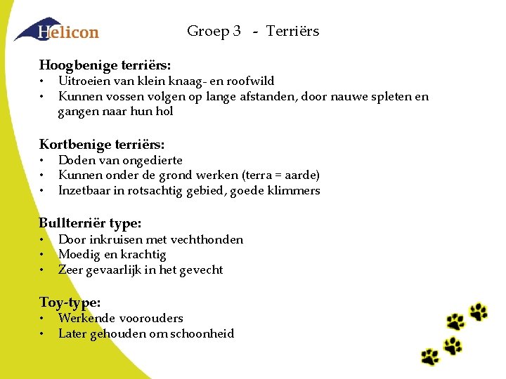 Groep 3 - Terriërs Hoogbenige terriërs: • • Uitroeien van klein knaag- en roofwild Groep 3 - Terriërs Hoogbenige terriërs: • • Uitroeien van klein knaag- en roofwild