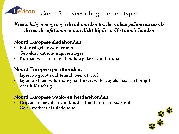 Groep 5 - Keesachtigen en oertypen Keesachtigen mogen gerekend worden tot de oudste gedomesticeerde Groep 5 - Keesachtigen en oertypen Keesachtigen mogen gerekend worden tot de oudste gedomesticeerde