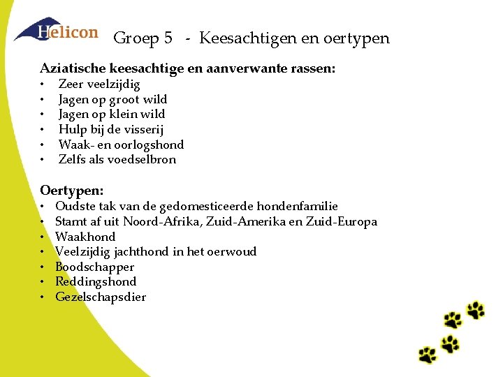 Groep 5 - Keesachtigen en oertypen Aziatische keesachtige en aanverwante rassen: • • • Groep 5 - Keesachtigen en oertypen Aziatische keesachtige en aanverwante rassen: • • •
