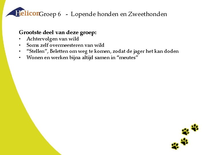 Groep 6 - Lopende honden en Zweethonden Grootste deel van deze groep: • • Groep 6 - Lopende honden en Zweethonden Grootste deel van deze groep: • •