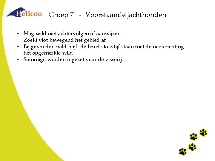 Groep 7 - Voorstaande jachthonden • Mag wild niet achtervolgen of aanwijzen • Zoekt Groep 7 - Voorstaande jachthonden • Mag wild niet achtervolgen of aanwijzen • Zoekt