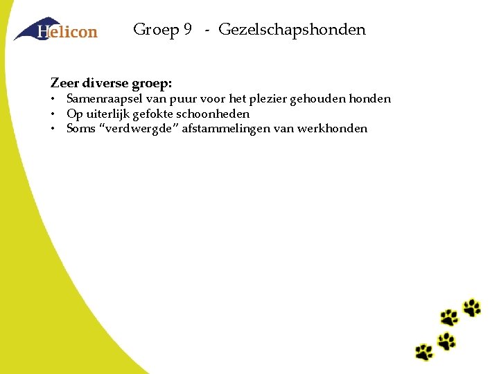 Groep 9 - Gezelschapshonden Zeer diverse groep: • Samenraapsel van puur voor het plezier Groep 9 - Gezelschapshonden Zeer diverse groep: • Samenraapsel van puur voor het plezier