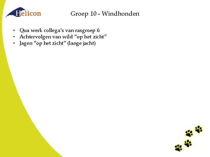 Groep 10 - Windhonden • Qua werk collega’s van rasgroep 6 • Achtervolgen van Groep 10 - Windhonden • Qua werk collega’s van rasgroep 6 • Achtervolgen van