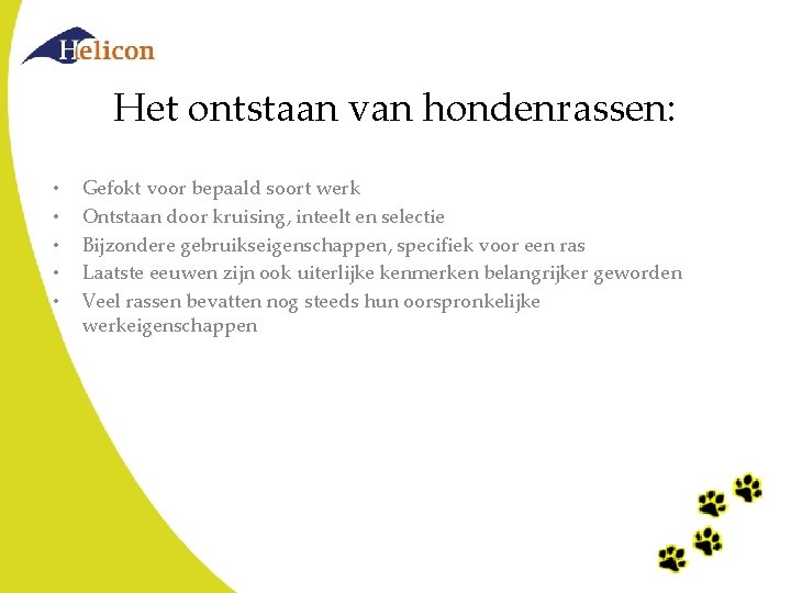 Het ontstaan van hondenrassen: • • • Gefokt voor bepaald soort werk Ontstaan door Het ontstaan van hondenrassen: • • • Gefokt voor bepaald soort werk Ontstaan door